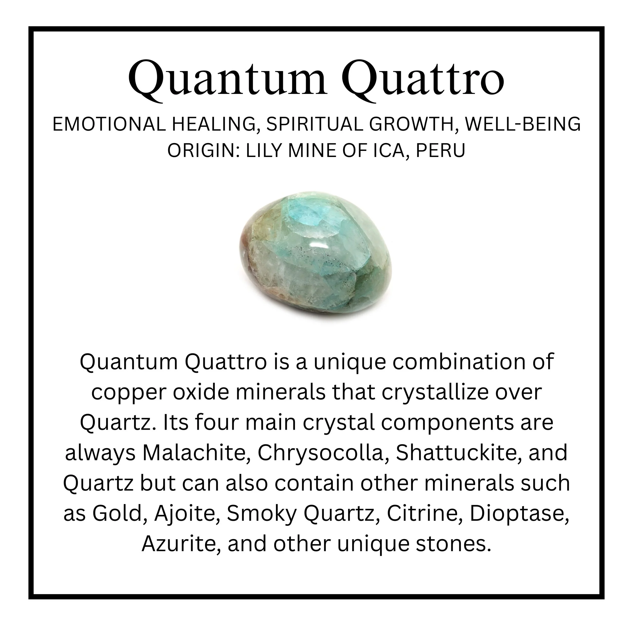Quantum Quattro.jpg