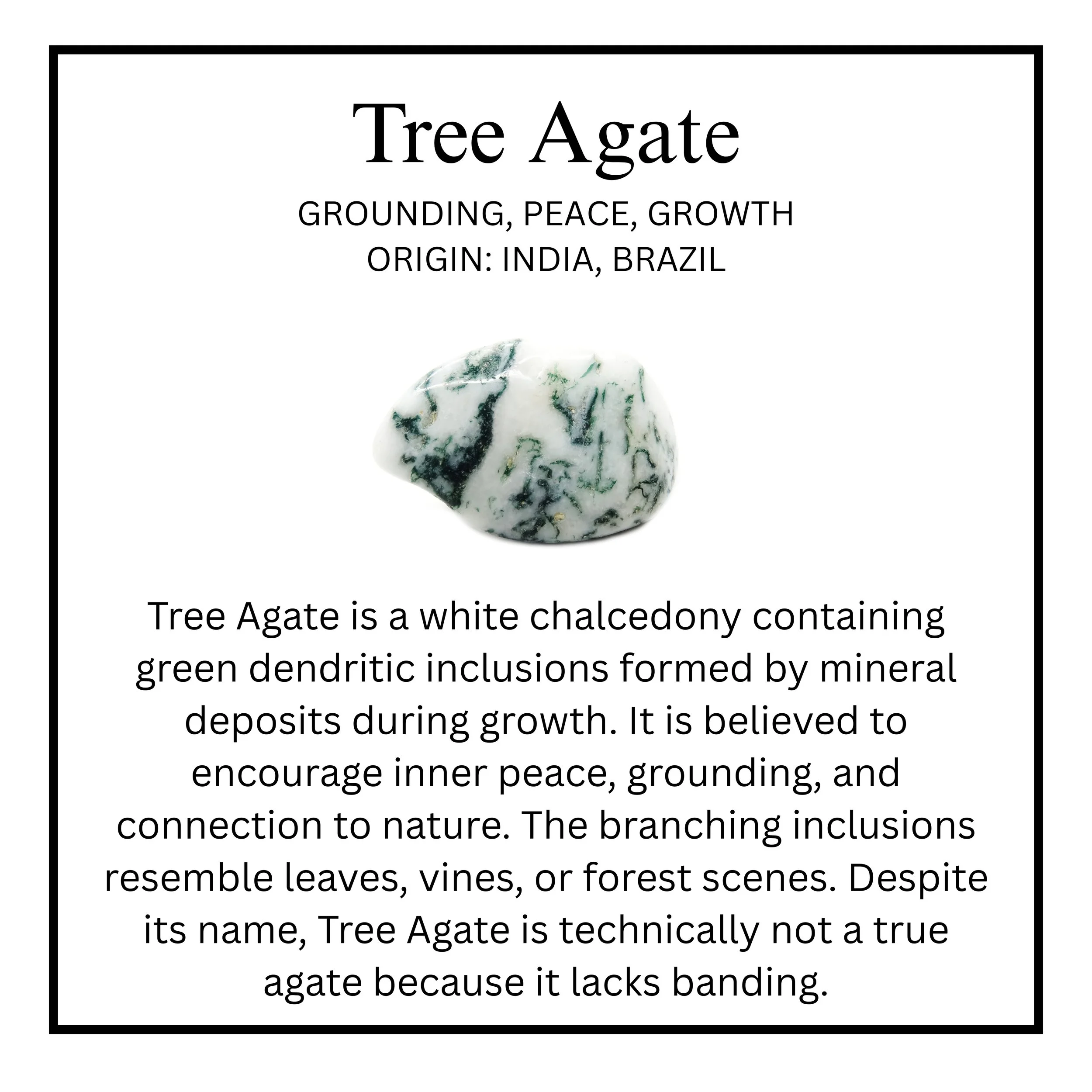 Tree Agate.jpg