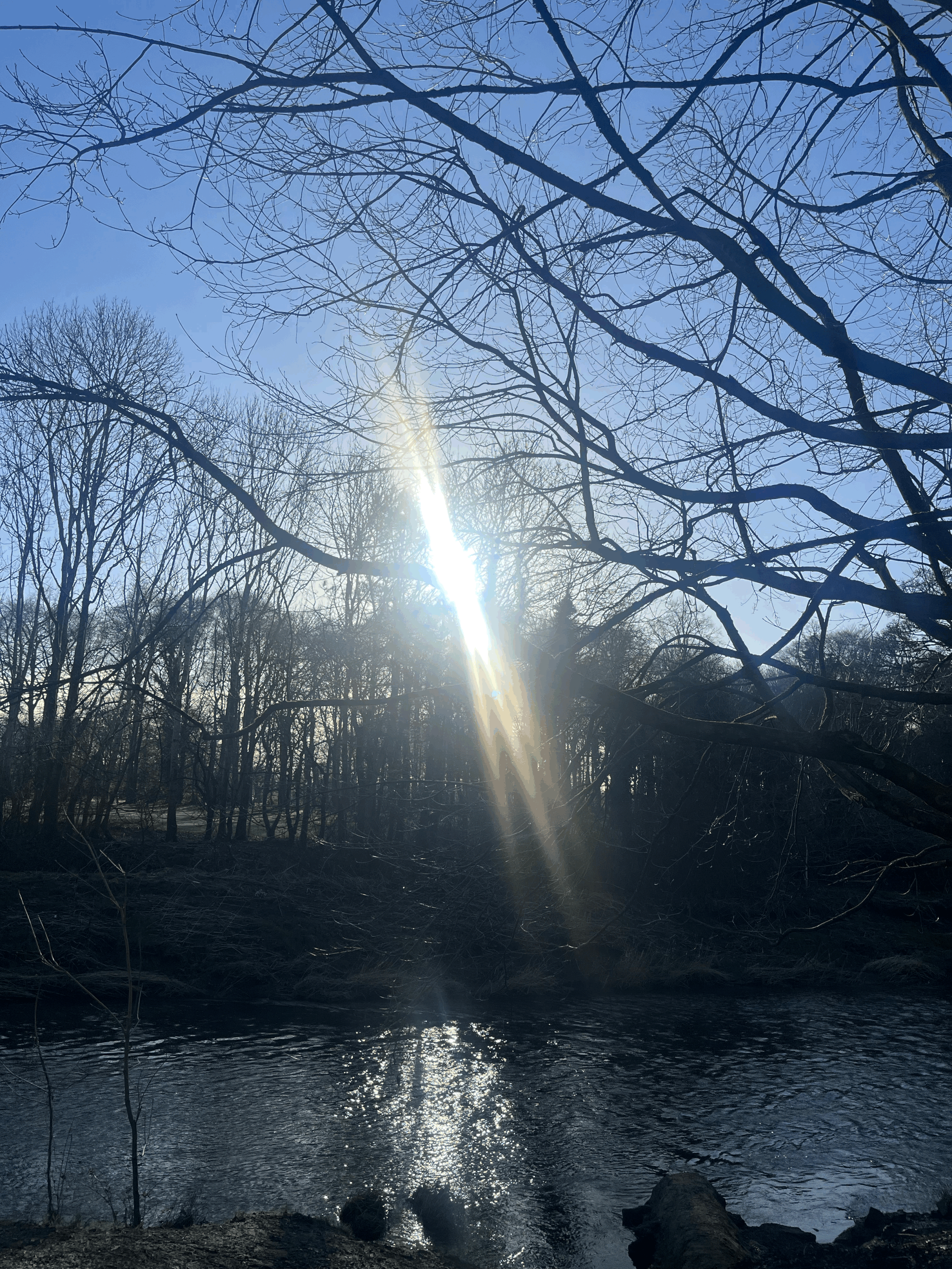 Permission to pause this New Year