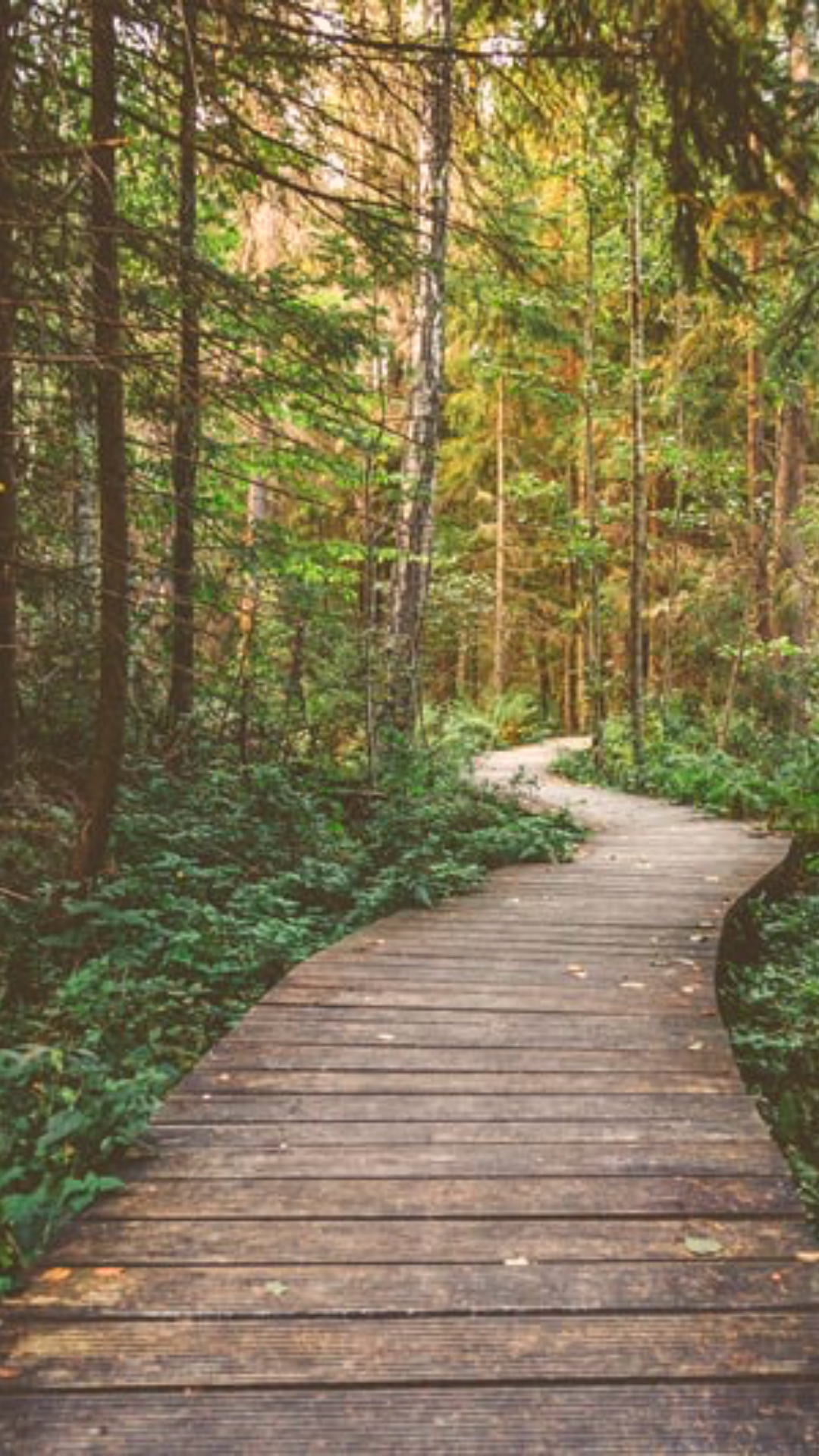 Worried about booking that intro call or starting therapy? Here’s something that may help…