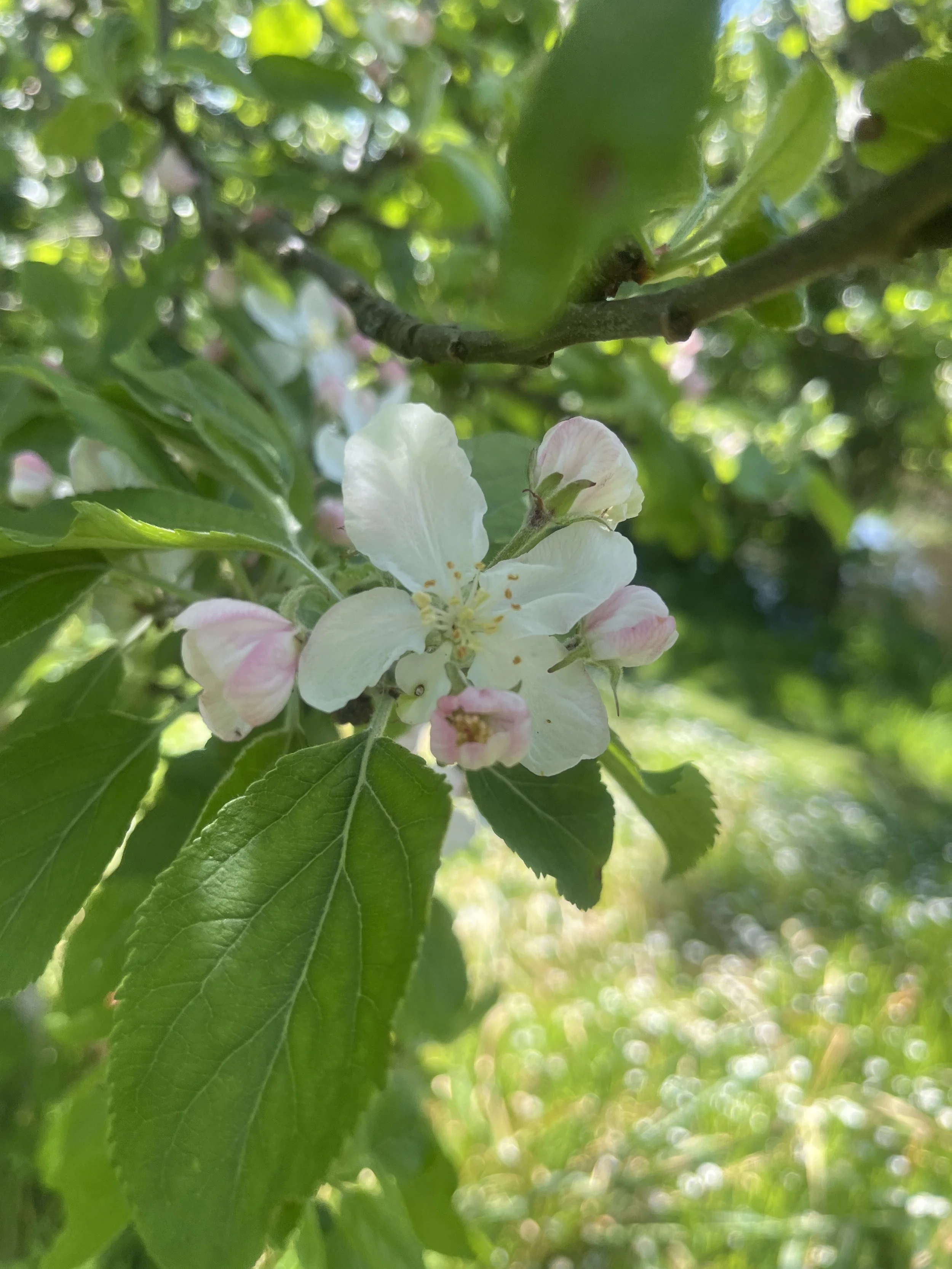 What helps when you feel lonely (even when you have people in your life)