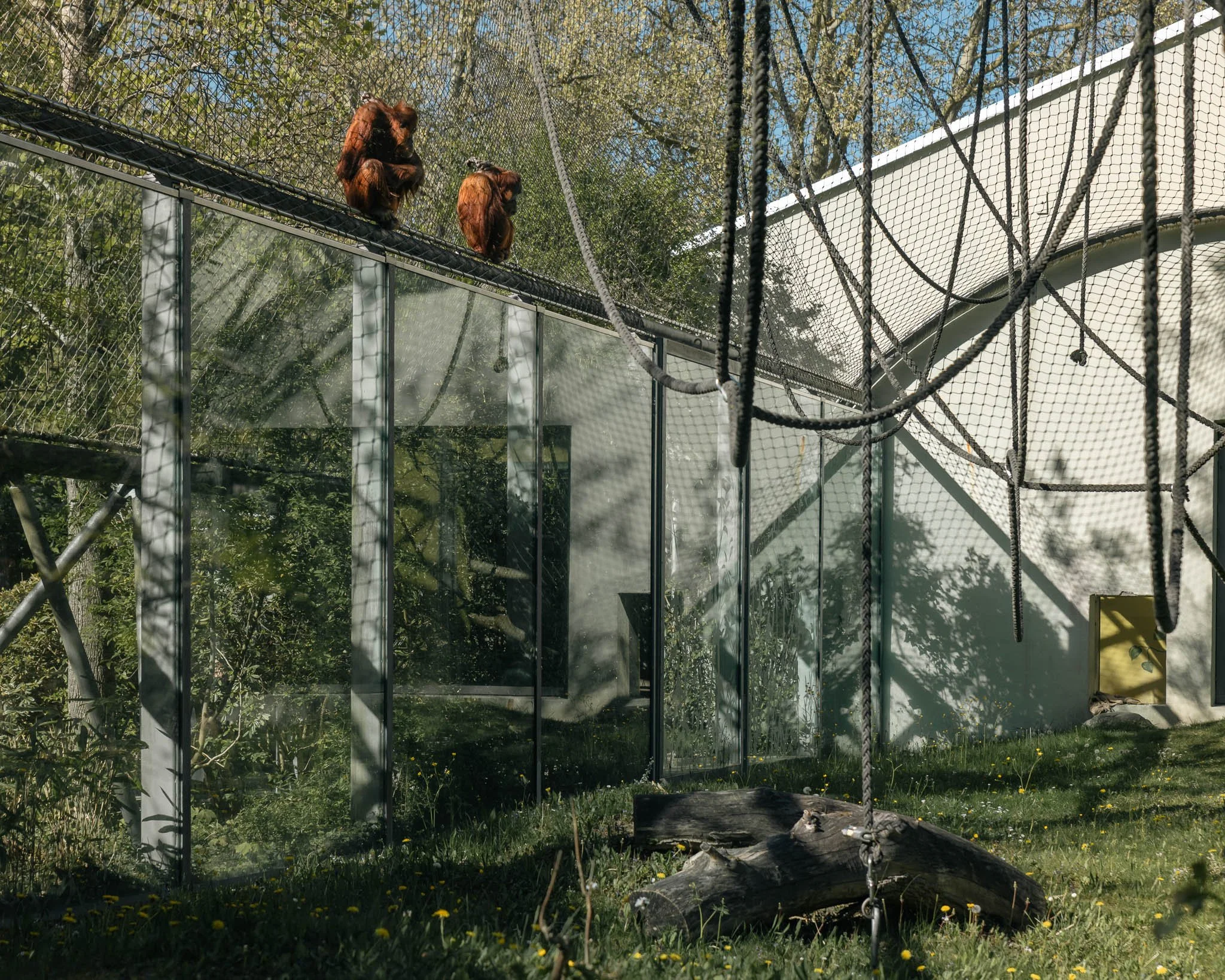 Portfolio_Zoo_Neu-3.jpg
