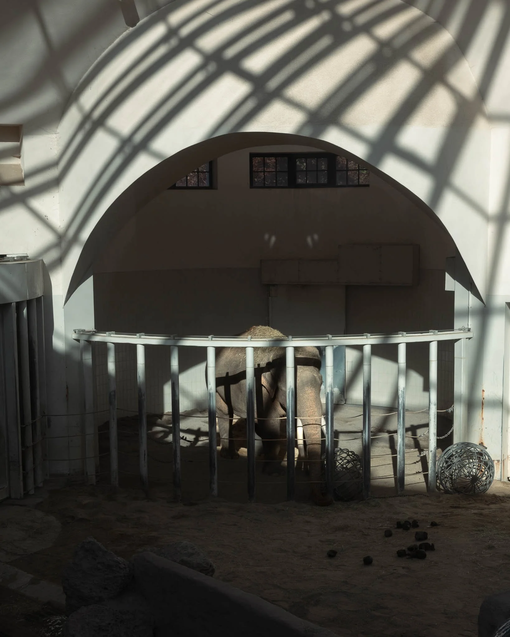 Portfolio_Zoo_Neu-4.jpg