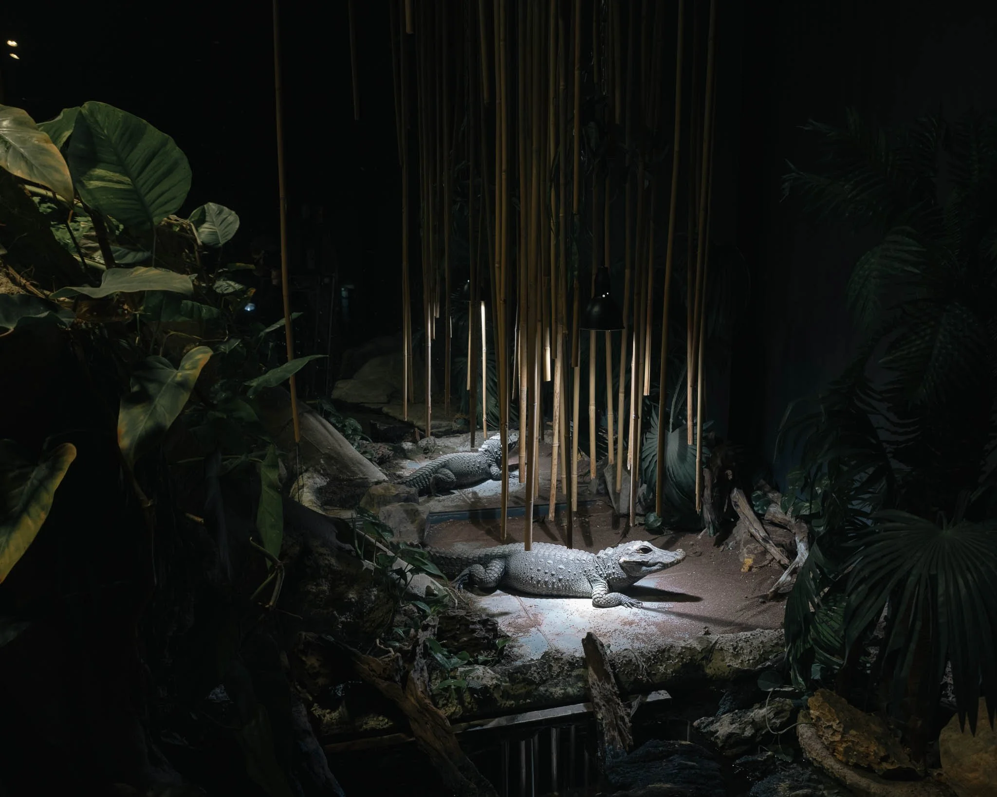 Portfolio_Zoo_Neu-5.jpg