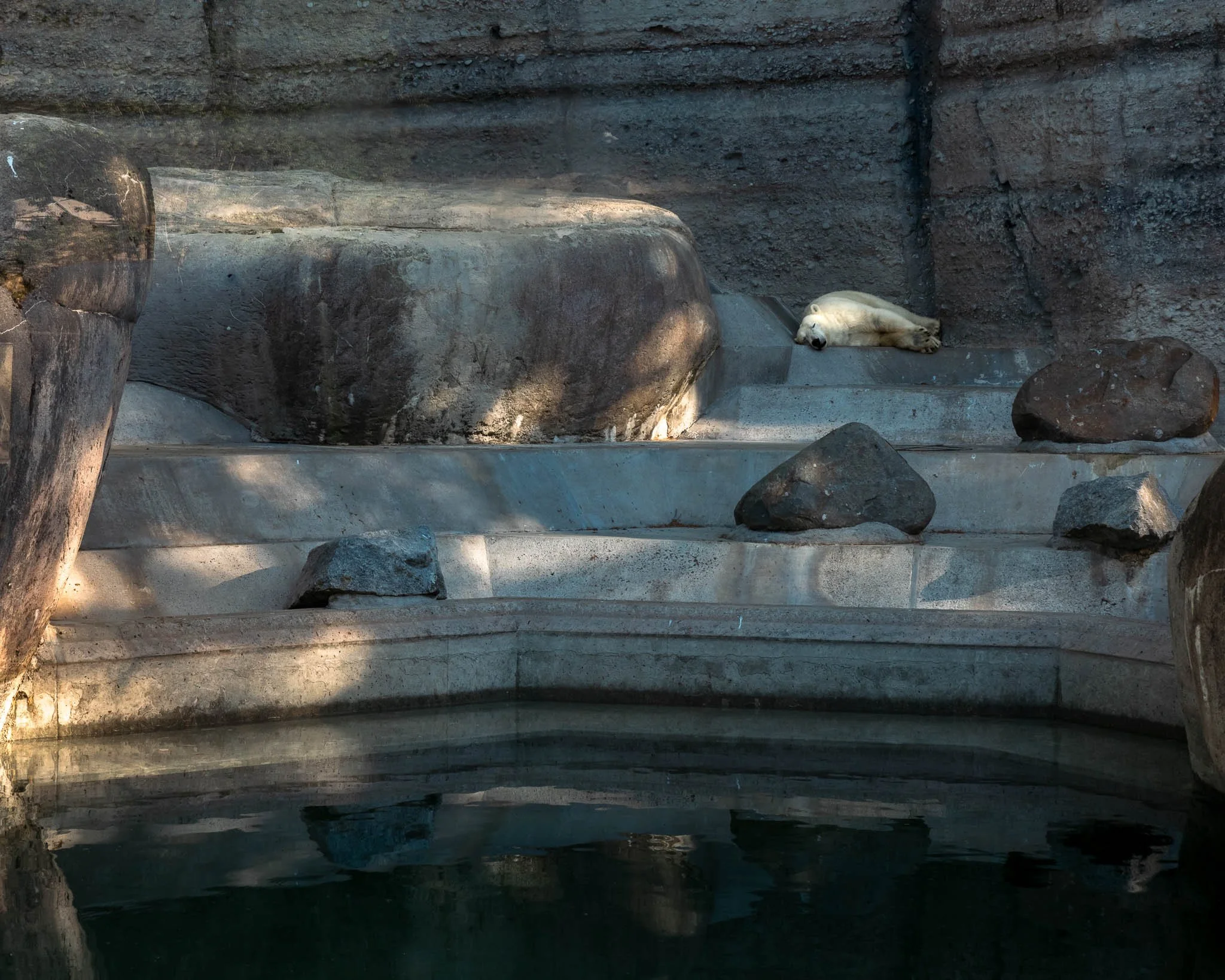 Portfolio_Zoo_Neu.jpg