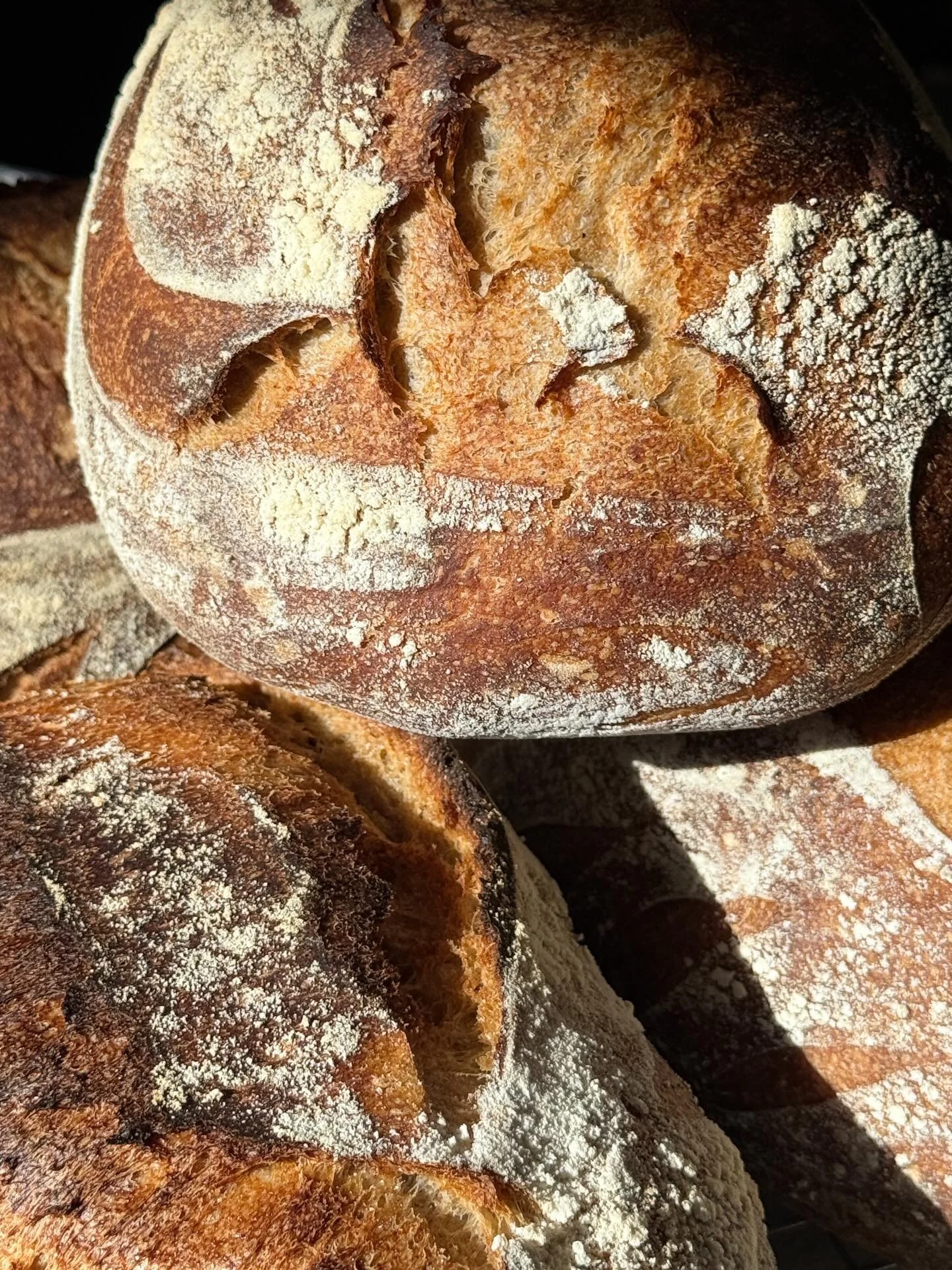 Baking fantastic sourdough with FoodFirst Culinary School students!