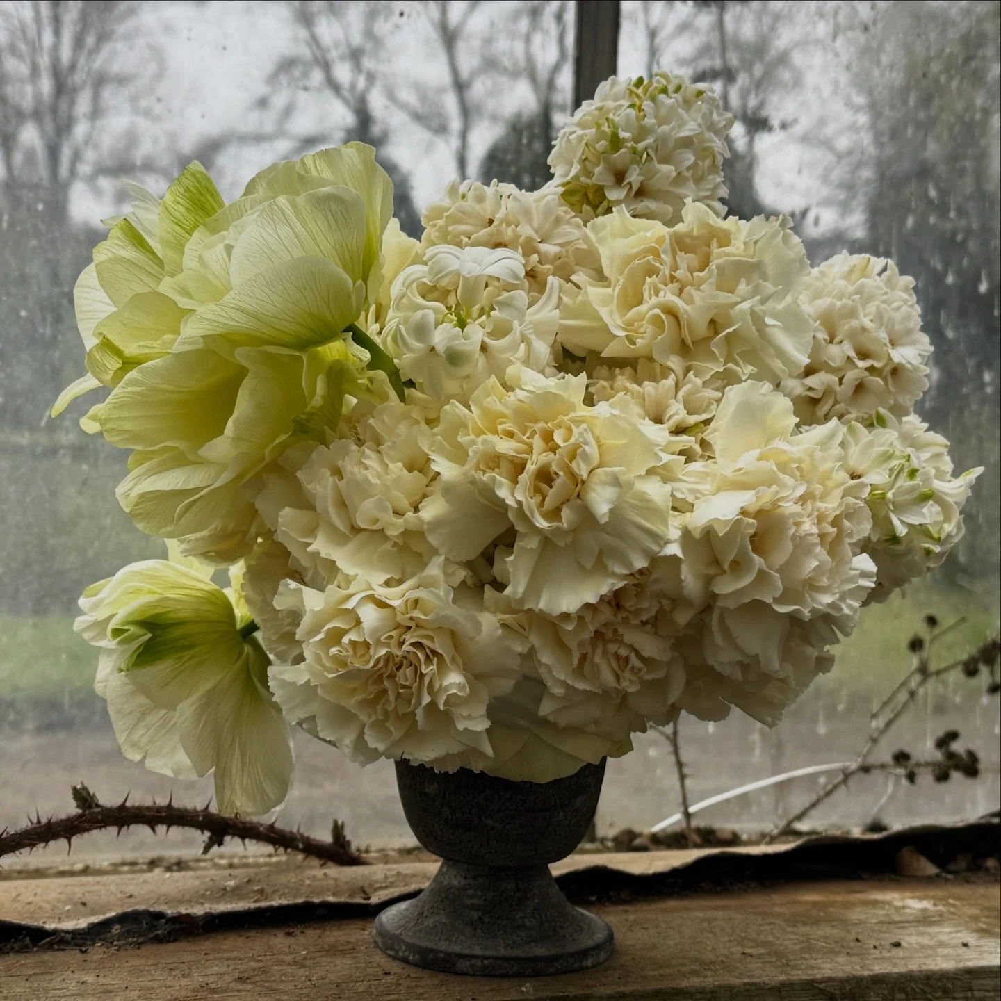 A bouquet of white and pale green flowers in a black pedestal vase on a wooden surface, with a window and barren trees in the background.