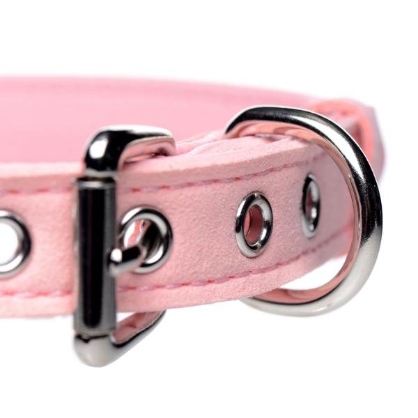 CNVXR-AG456-PINK5f3d75c78596f.jpg