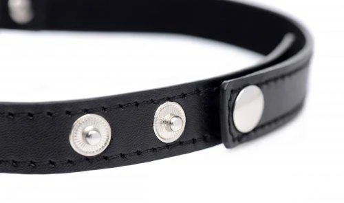 CNVXR-AG249-BLACK_31569680290.jpg