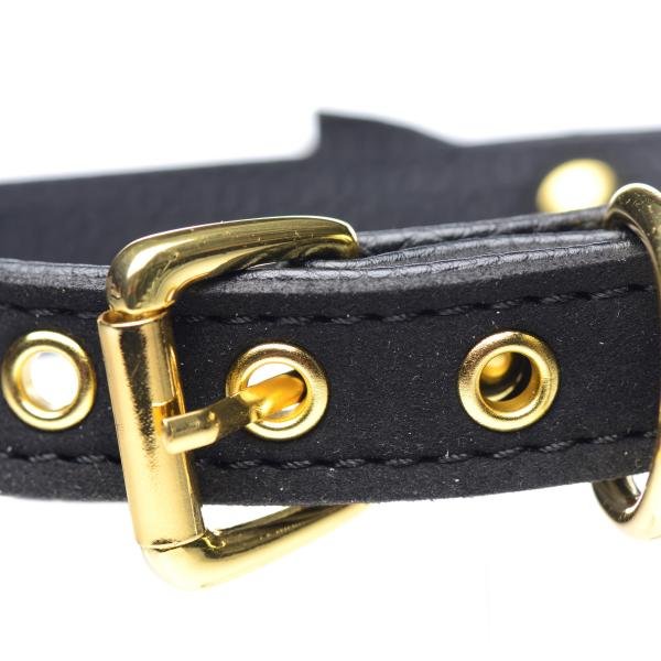 CNVXR-AG456-BLACK5f3d75c2c6982.jpg