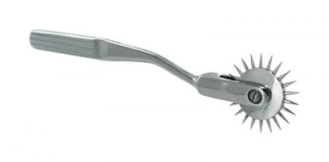 XRNS100BX.jpg