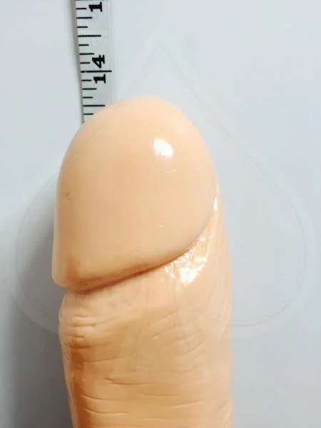 SIN50460_21441215570.jpg