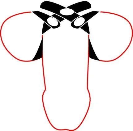 CNVEF-ESPL-5T_2.jpg