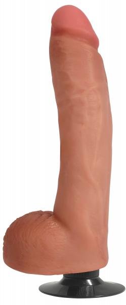CNVXR-AG484-105e902b1b9a1b2.jpg