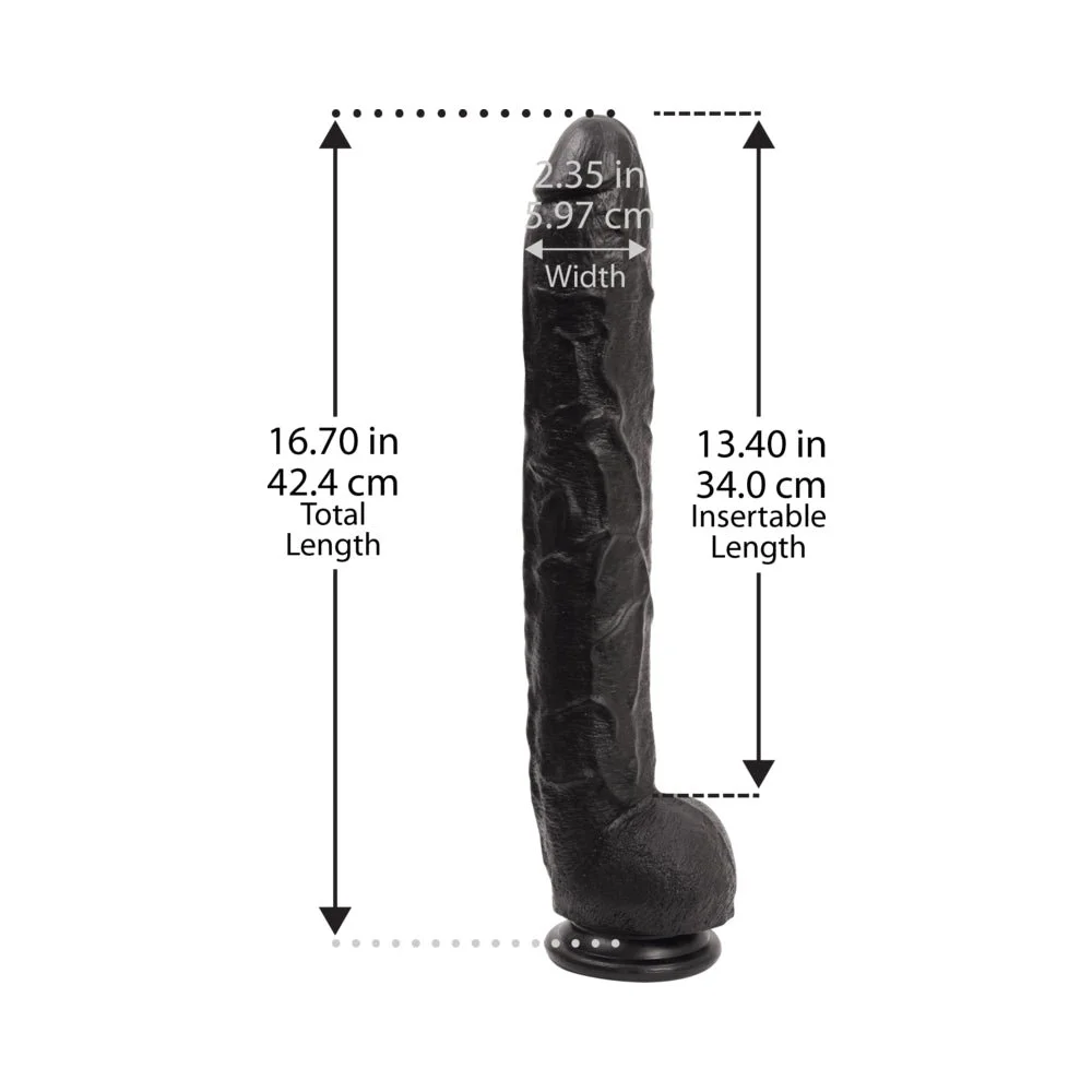 0268_01_BUM_png.jpg