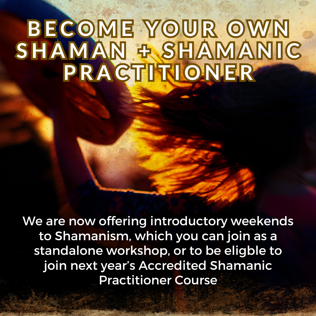 SH&S + TRAINING Instagram.png