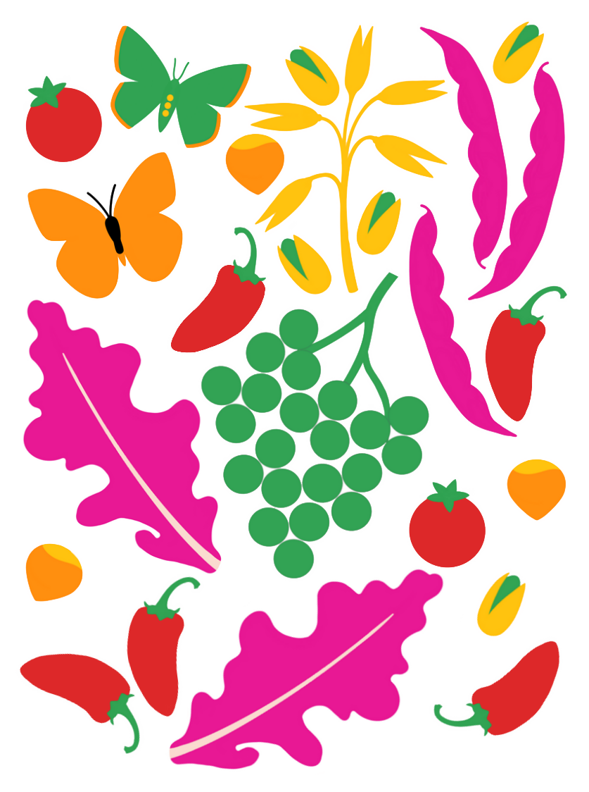 book CANVA hot pepper page.png