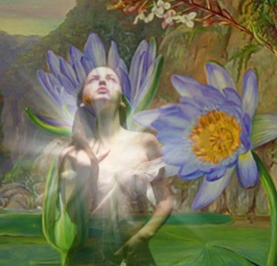 Blue Lotus spirit.JPG