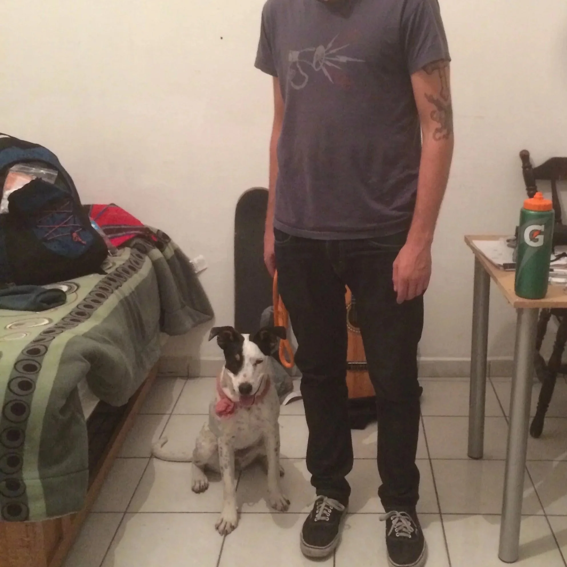 Got your First dog? How to create a positive and lasting impact with your new dog.