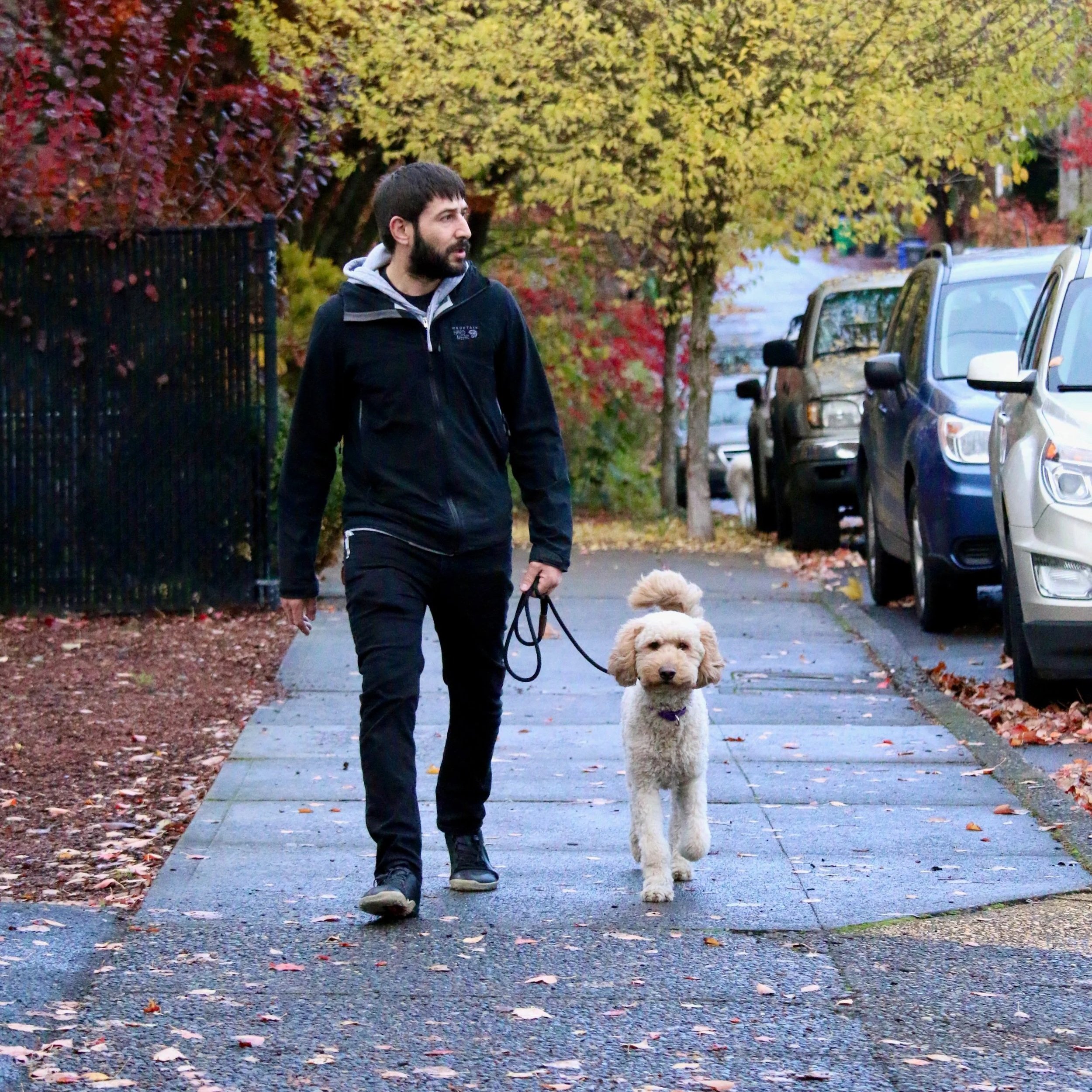 Loose leash walking: How to stop pulling and enjoy walks with your dog.