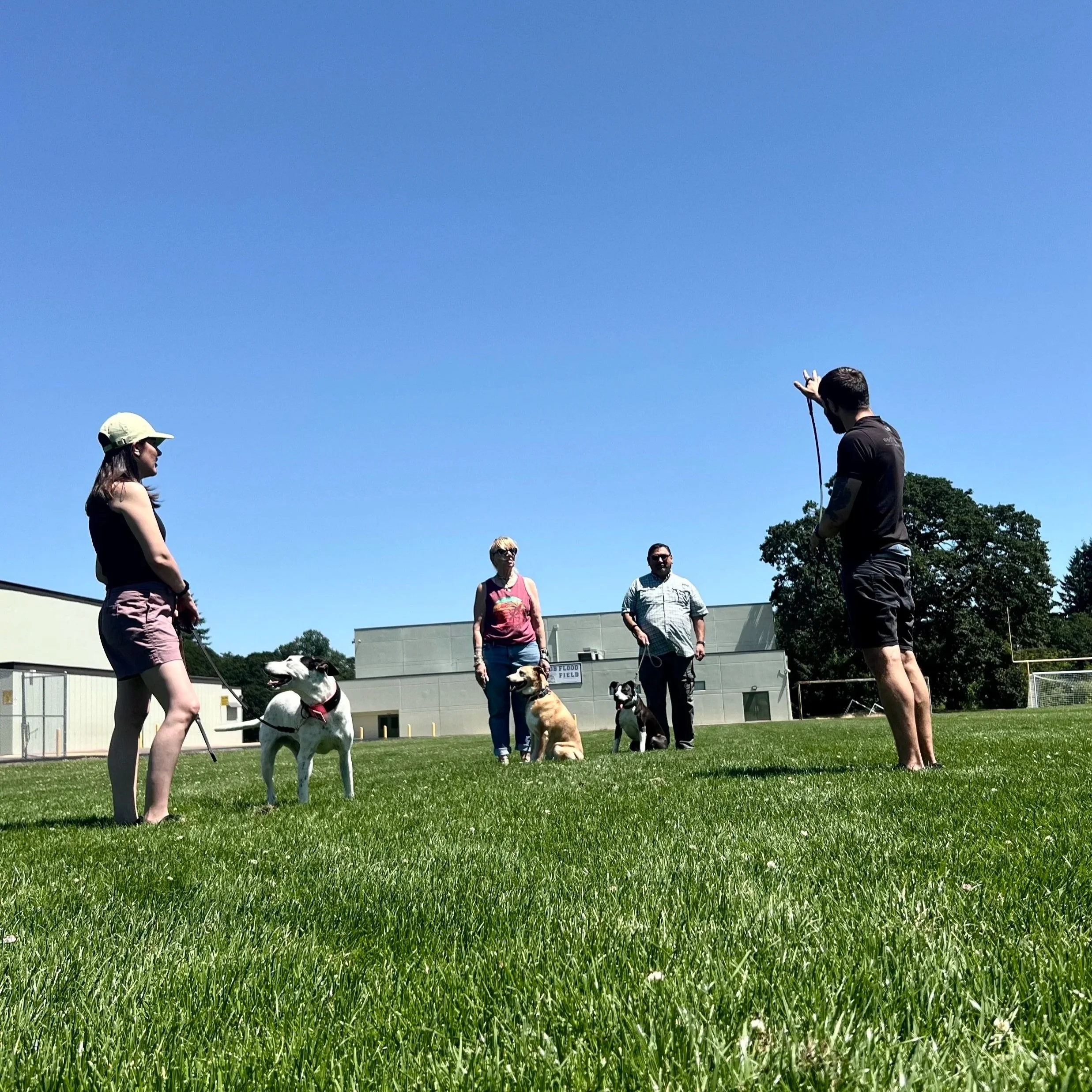 The Most Important part Of Dog Training…. you (the owner)