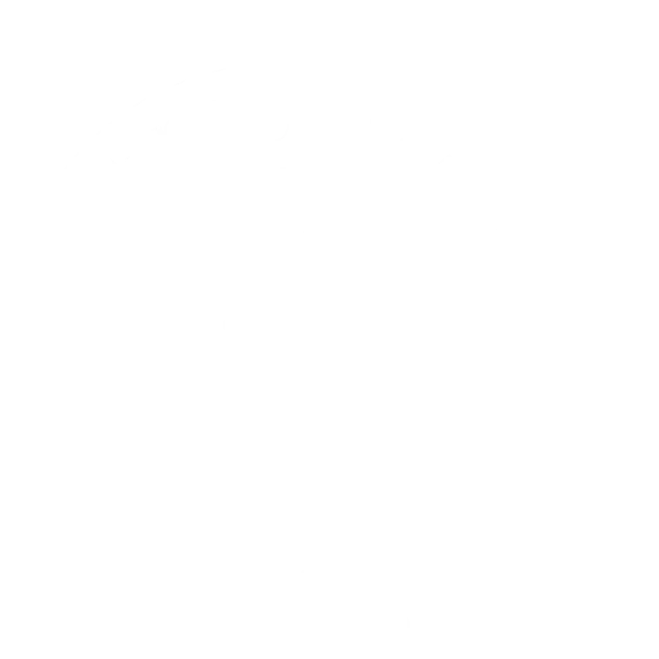 bariatric warrior with steph and bex logo