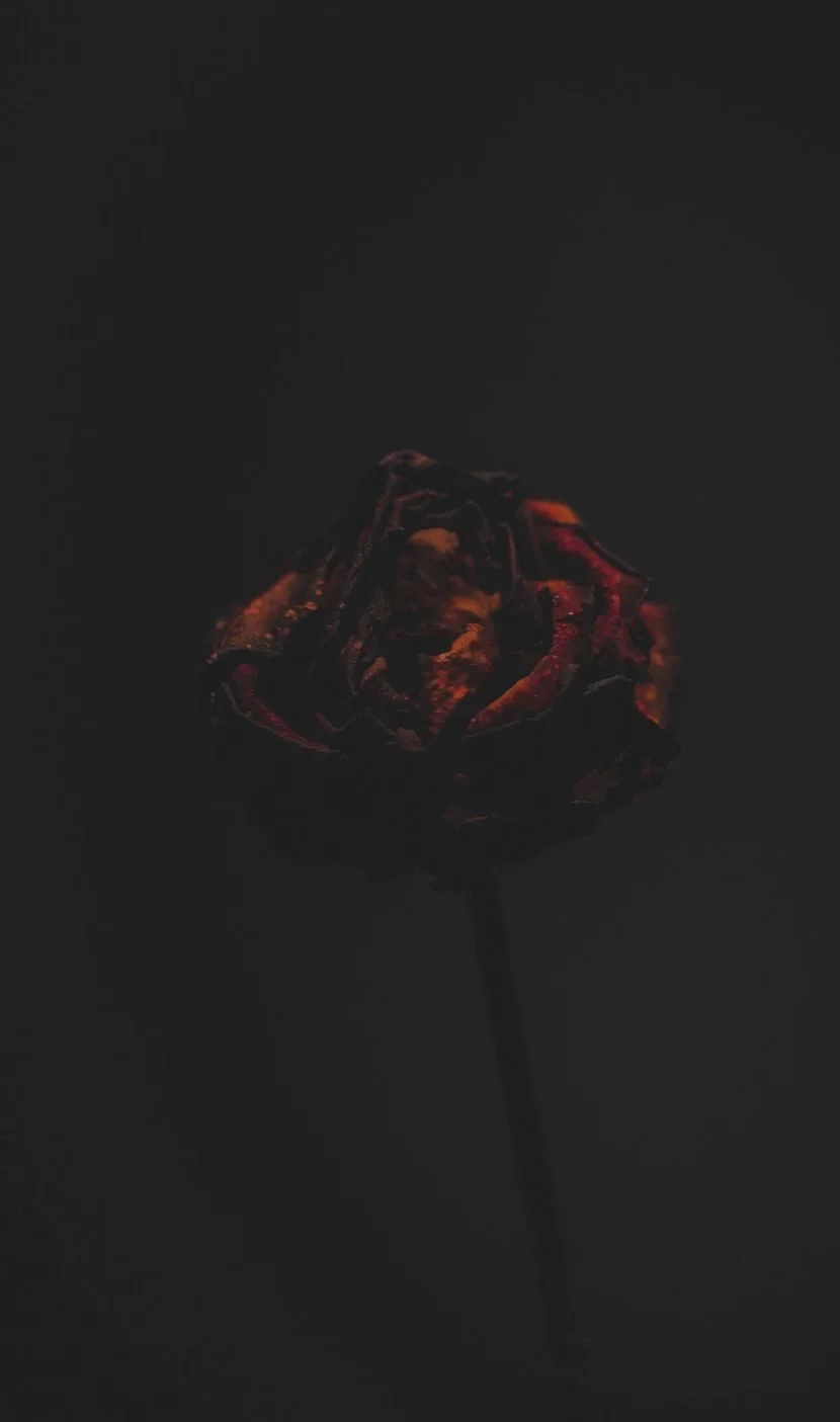 red flower, bariatric warrior