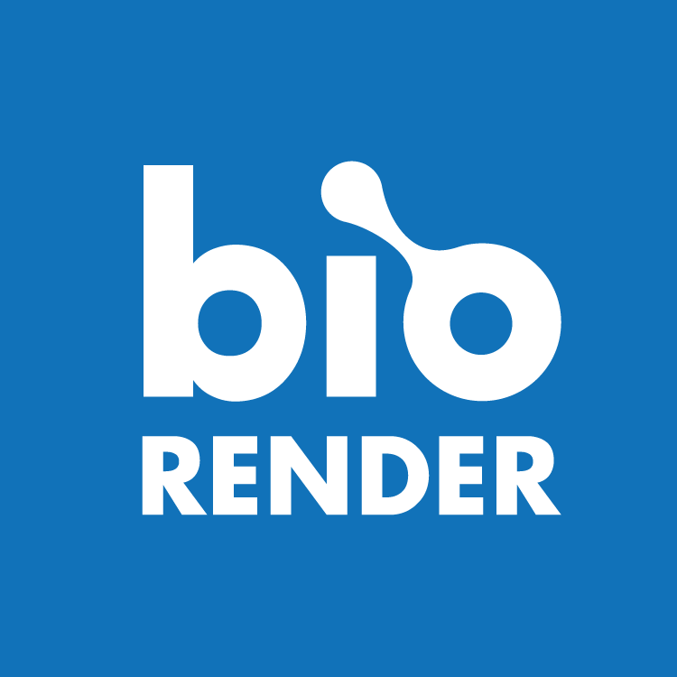 biorender 3.png