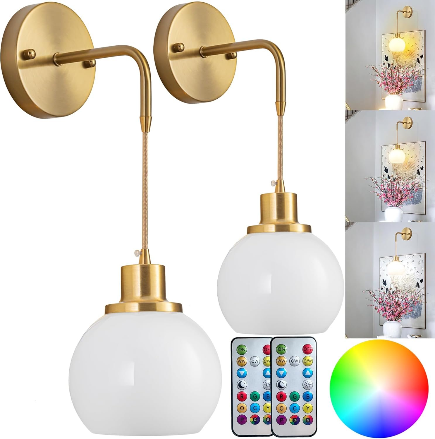 Globe Glass Wall Sconce With RGB Light Bulb