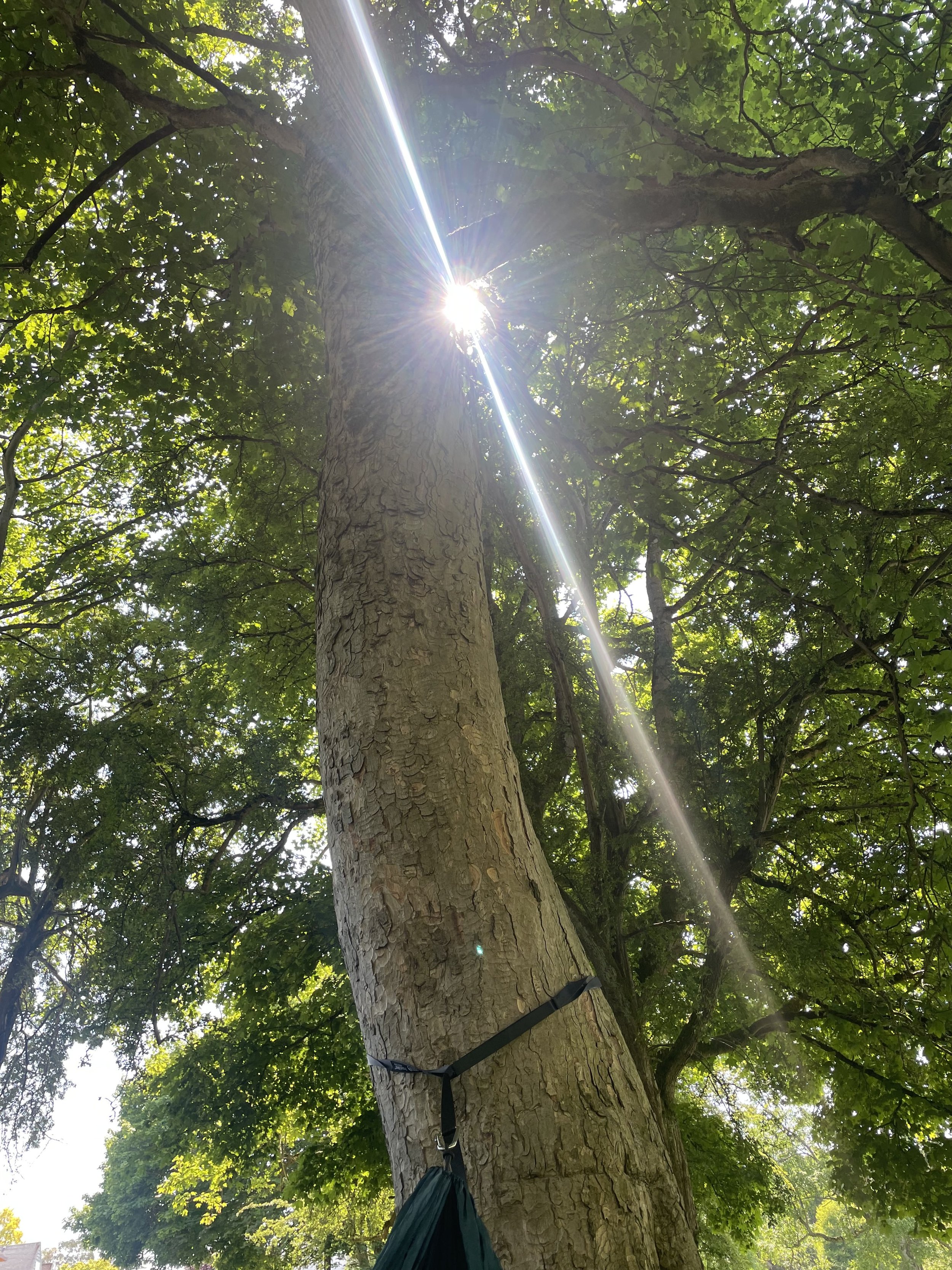 Asian American, millennials, first generation immigrant, second generation immigrant, people of color, person of color, generational trauma, immigrants, ADHD, ADD, trauma, addiction, substance use