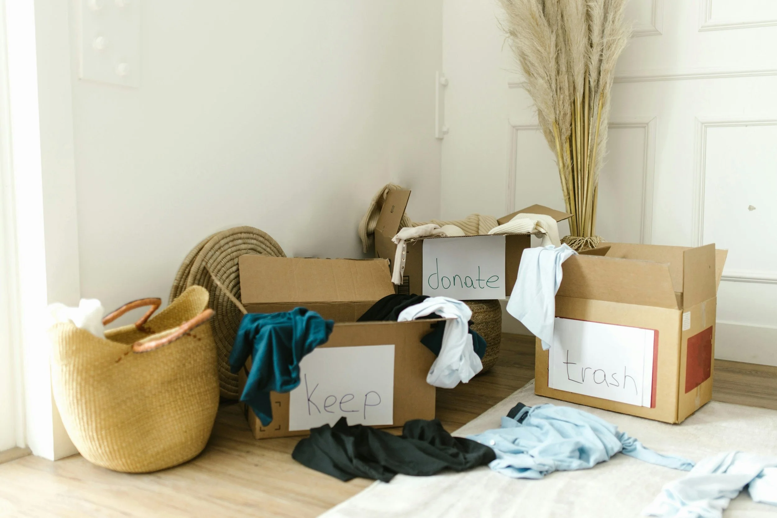 Clothes in cardboard boxes labeled 'keep,' 'donate,' and 'trash' near a corner with a basket and tall dried plants.