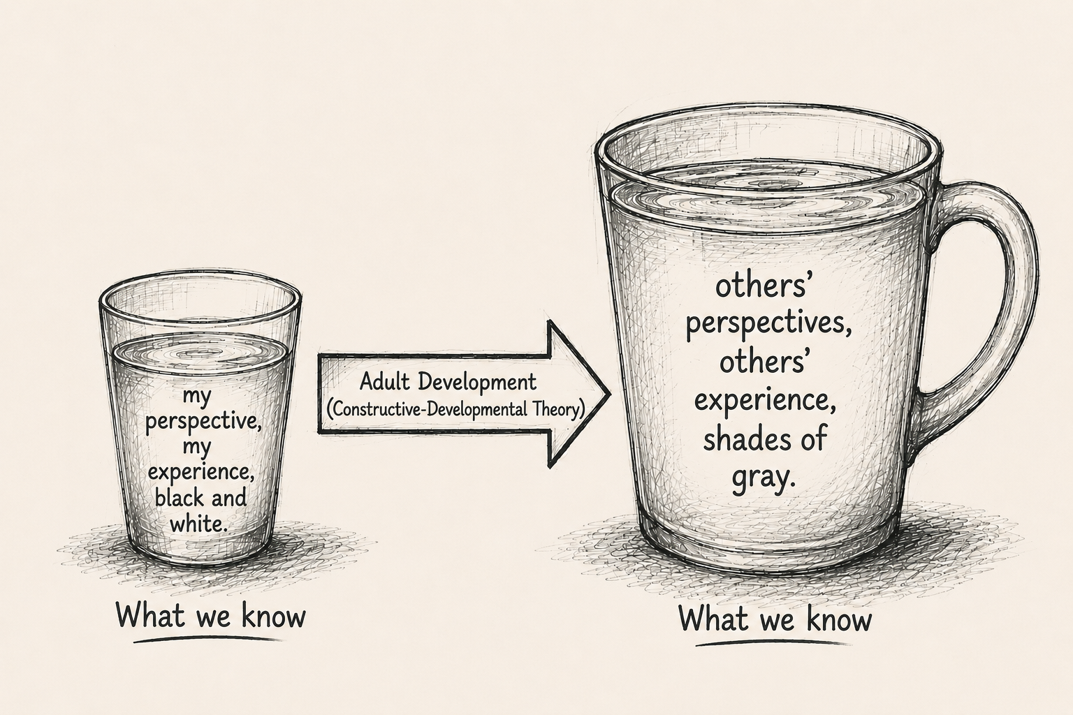The Evolving Adult Brain: Adults Are Still Becoming. How Are We Supporting Them? 