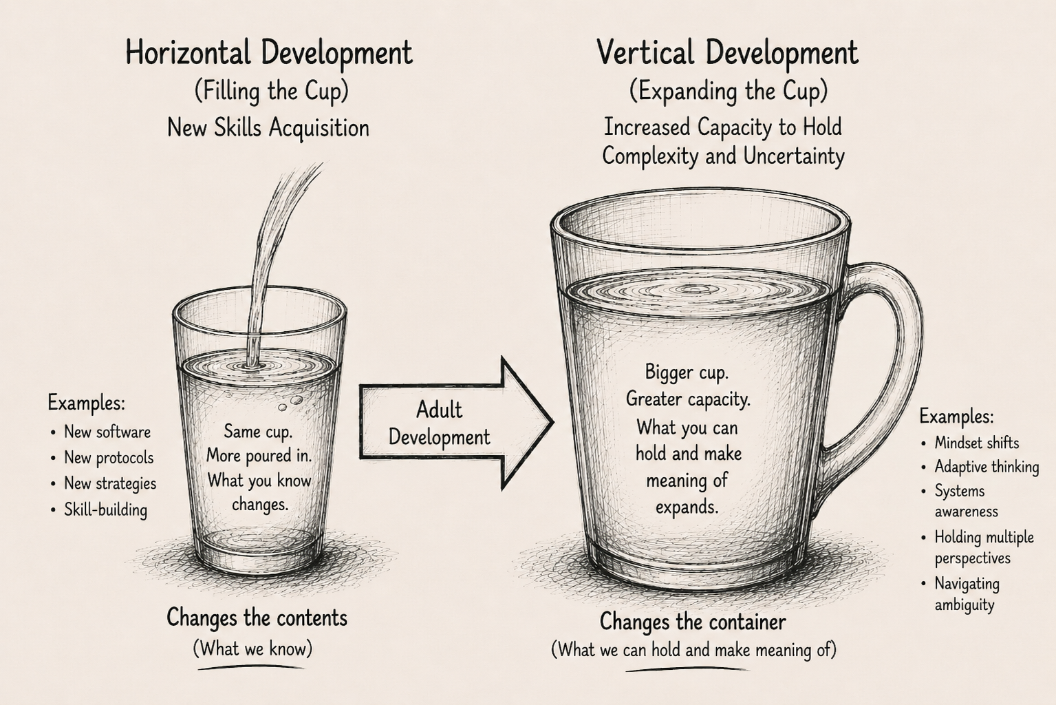 Two Paths of Adult Growth: Horizontal vs. Vertical Development