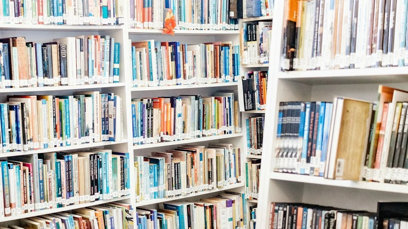 ook Club on Adolescent Development & Engagement