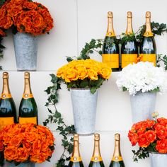 Champange Social