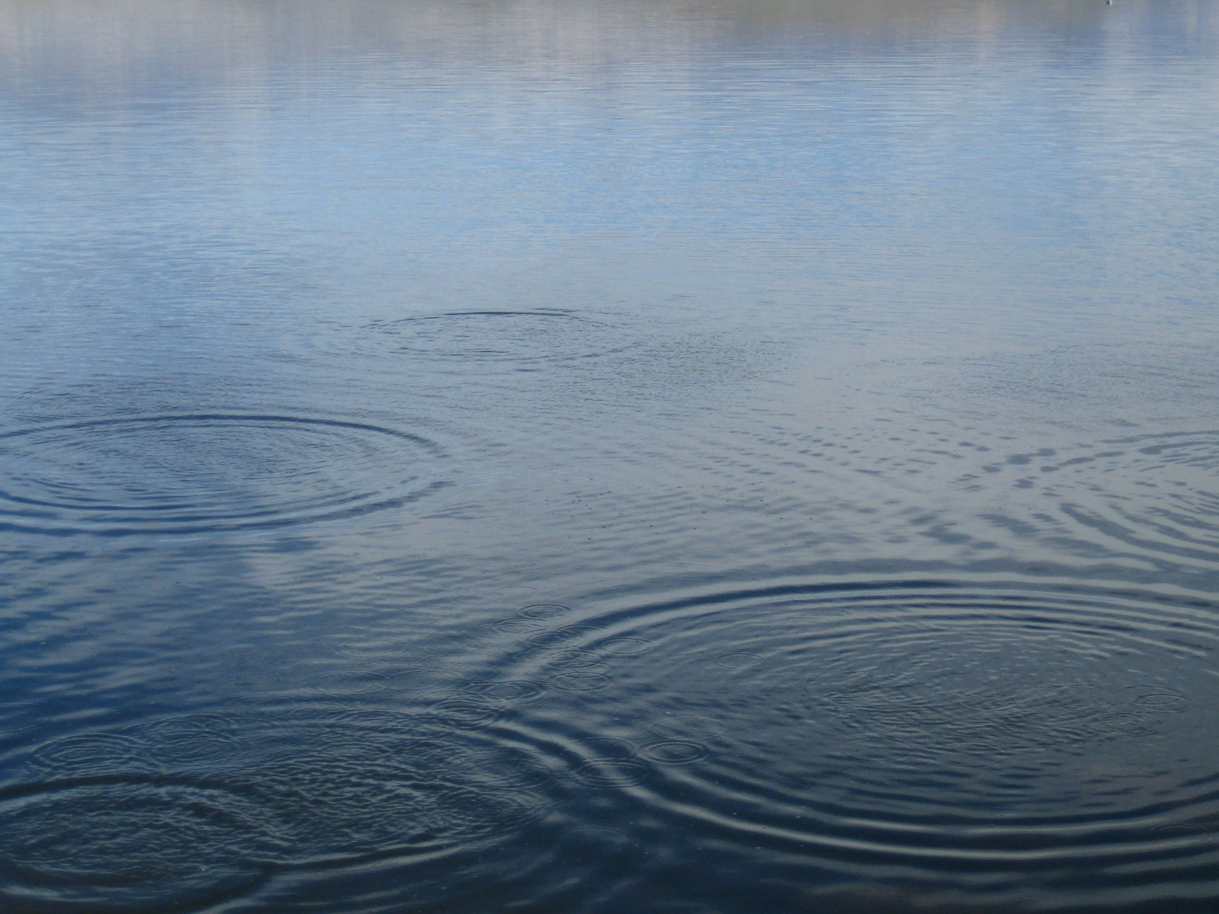 Calm water surface with ripples and small circles created by raindrops or falling objects.