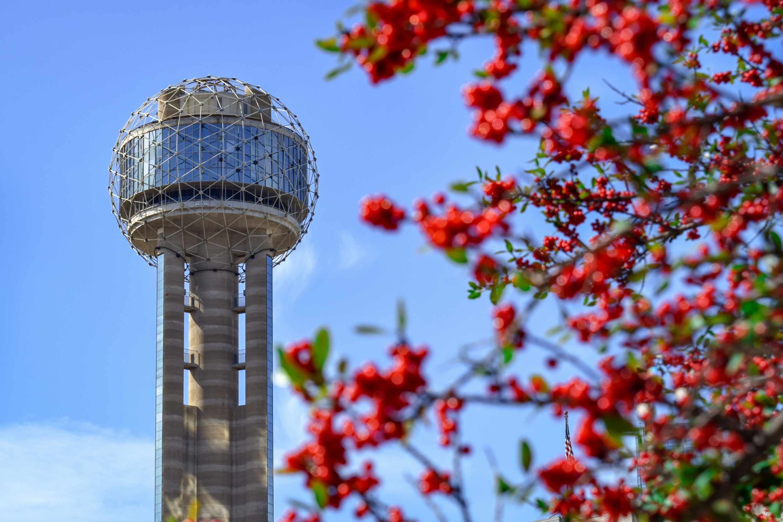 The KSKY television tower with a spherical observation deck, set against a blue sky, partially obscured by a flowering tree with red blossoms in the foreground.