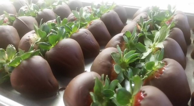Chocolate-covered strawberries with green leaves on top, arranged in rows.