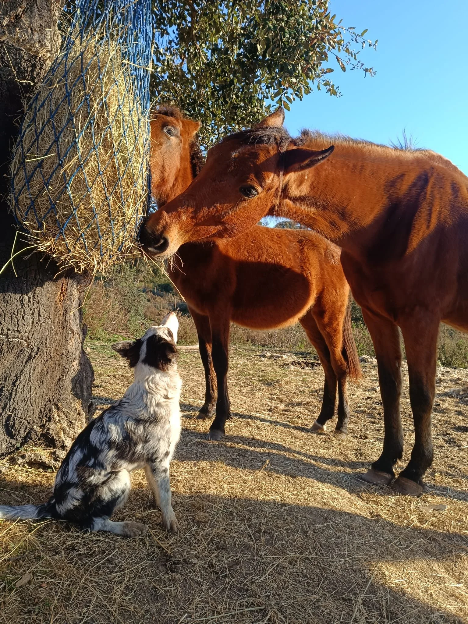 WhatsApp Image 2026-04-10 at 10.12.36 PM.jpeg