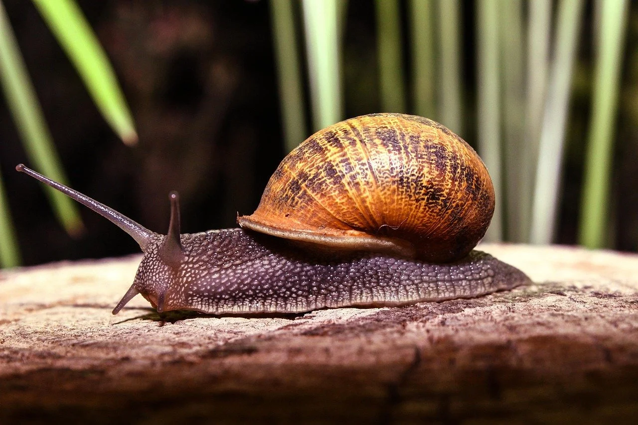 Why Is Construction Revenue a Lie When Slow-Paying Clients Delay Cash Flow?