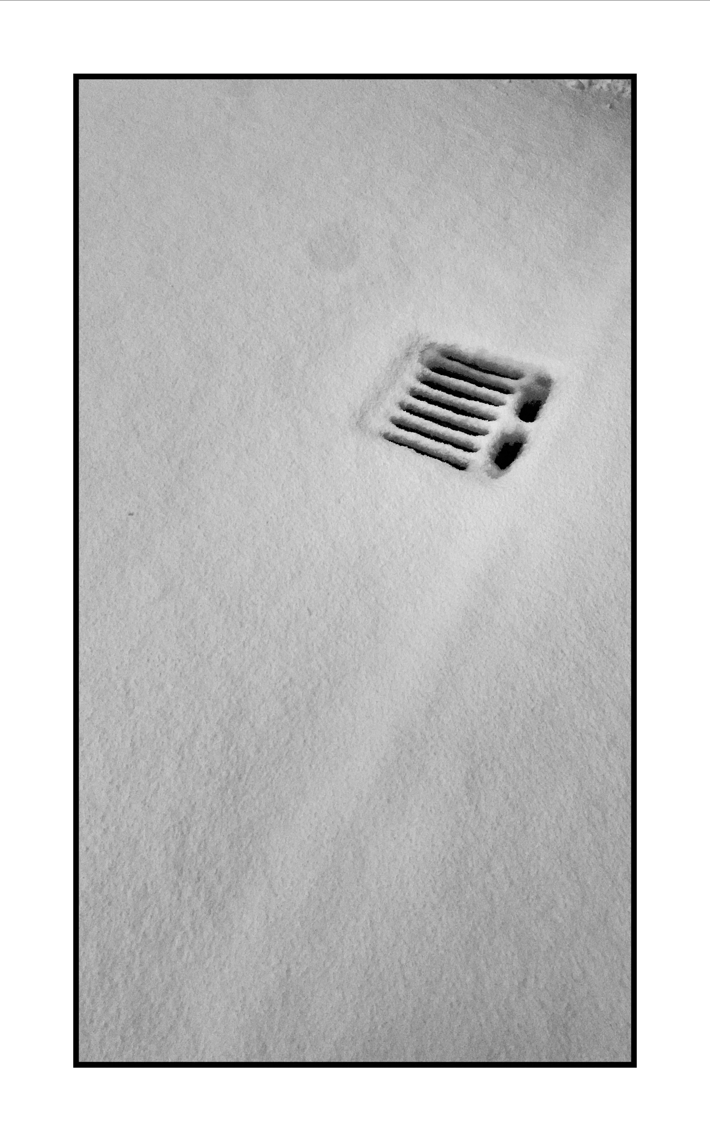 Winter has arrived 2026