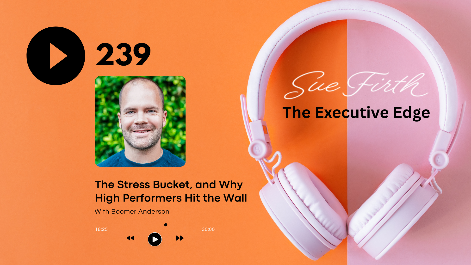 The Stress Bucket, and Why High Performers Hit the Wall