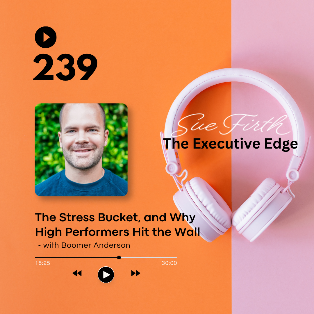 The Stress Bucket, and Why High Performers Hit the Wall
