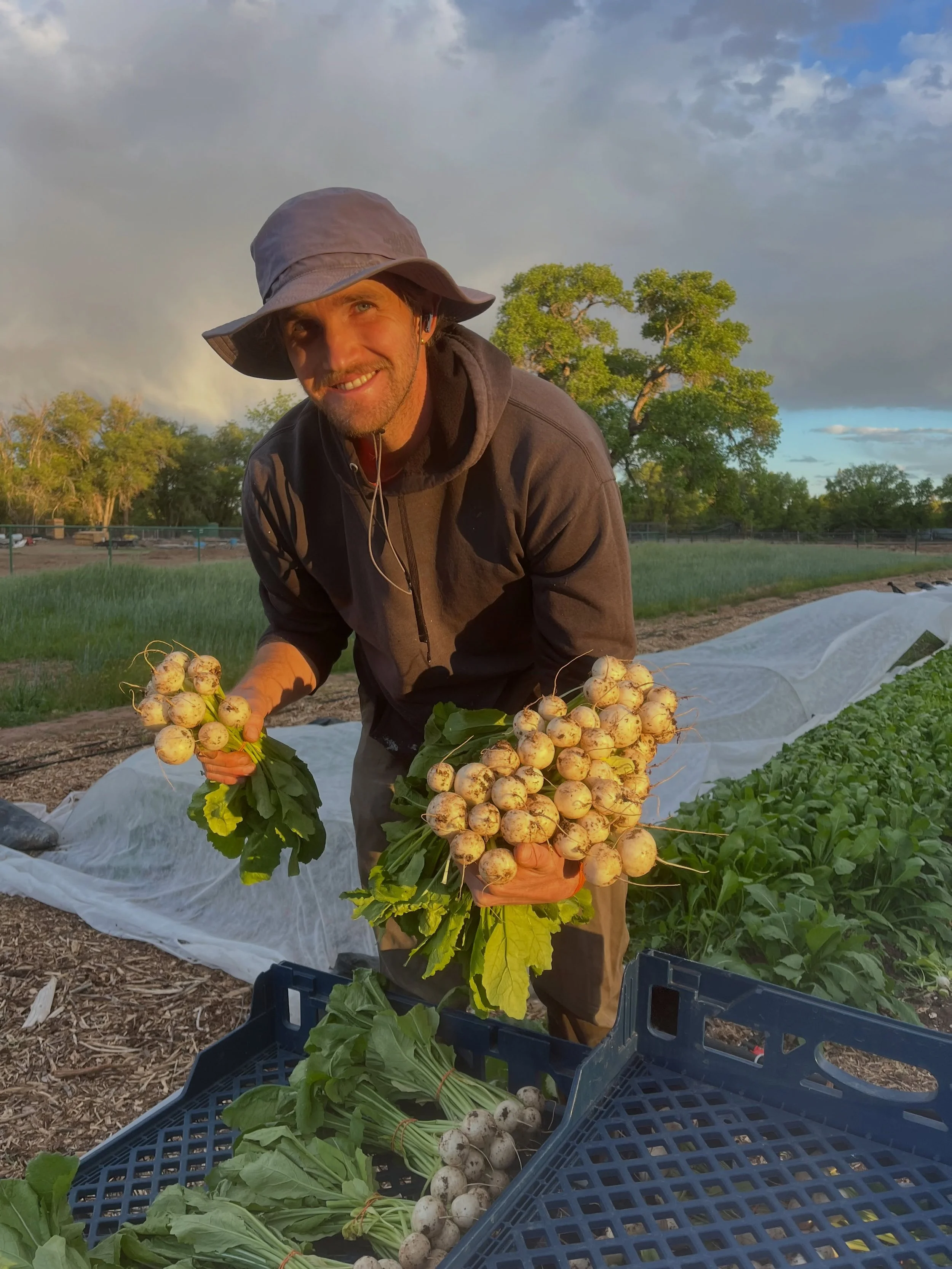 The evening cool is refreshing after the heat of the day! And so are these sweet, salad turnips available @downtowngrowers this Saturday 🫜 

We will also have: 
🥬 arugula, lettuce, spicy greens, radishes, bok choy, kale, chard, collards 

💐 Snapdr