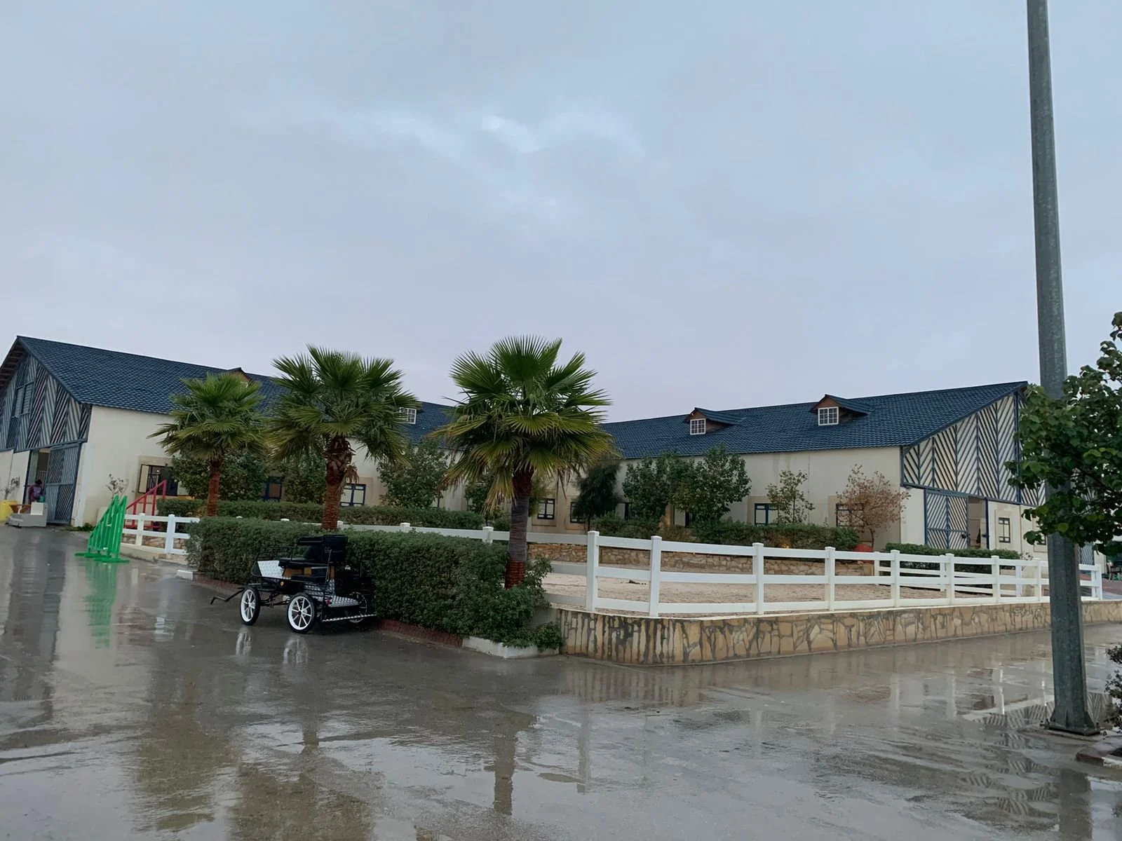 WhatsApp Image 2025-05-25 at 19.18.18_bfa0b4c9.jpg