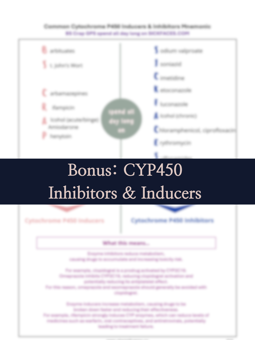 Aurévie Template - Y-Design-32.png