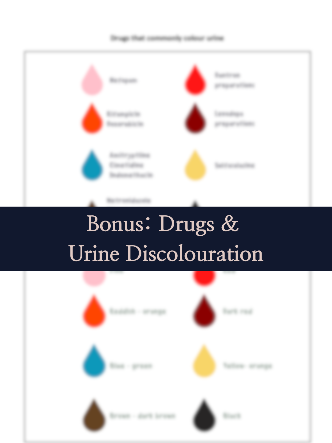 Aurévie Template - Y-Design-28.png