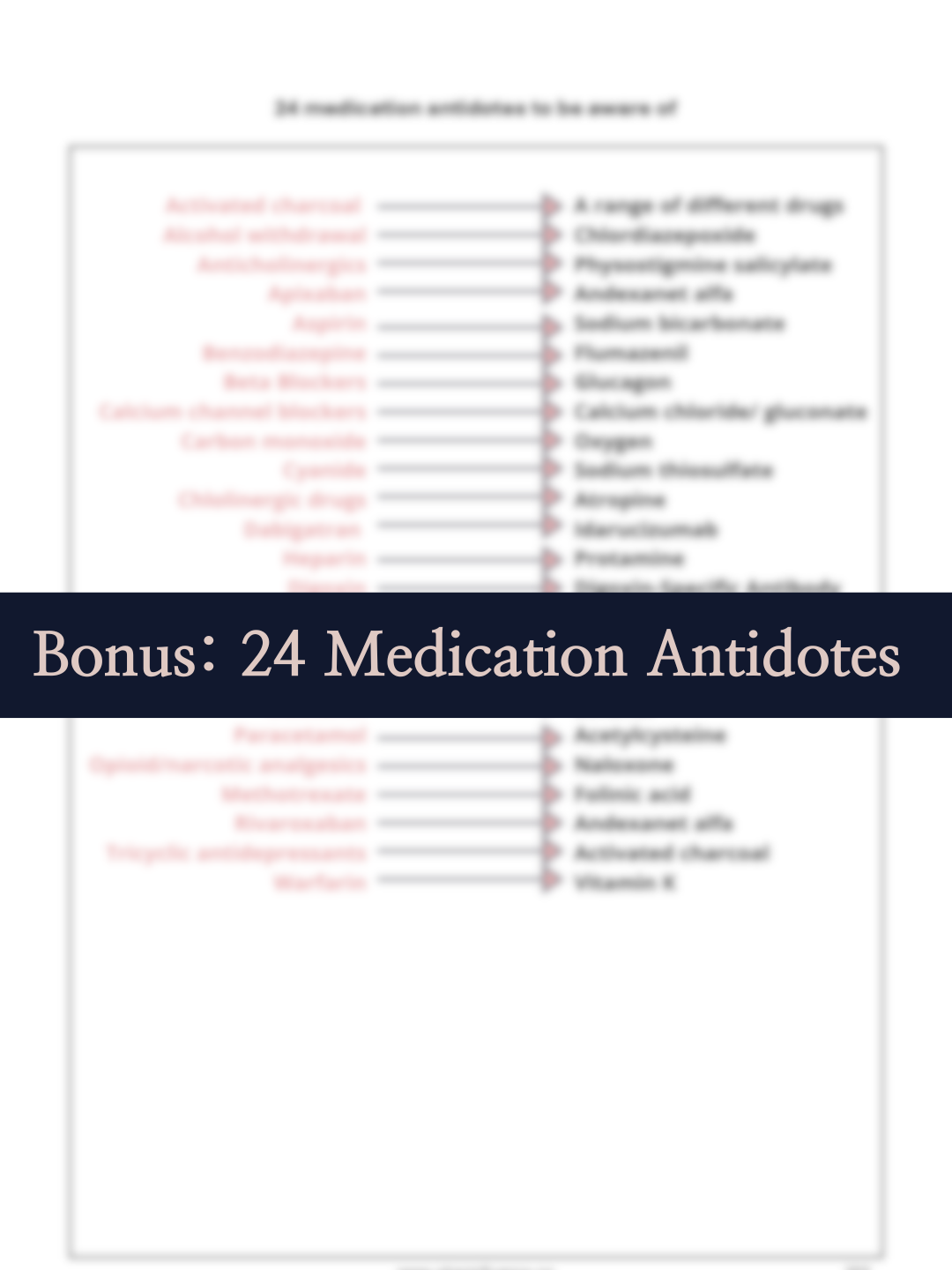 Aurévie Template - Y-Design-25.png