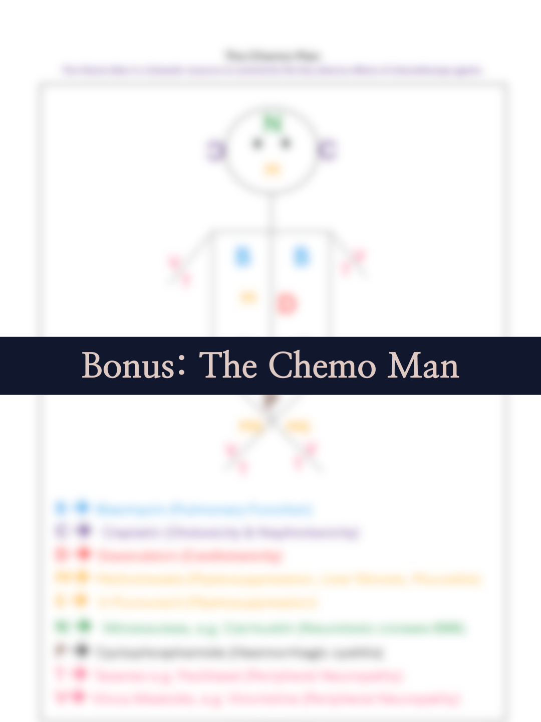 Aurévie Template - Y-Design-34.png