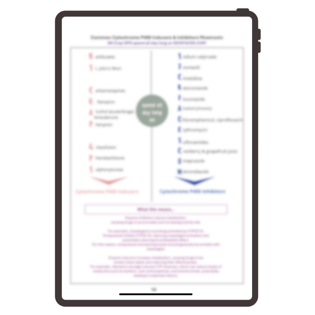 Copy of Copy of Copy of Copy of Copy of Copy of How to structure-14.png